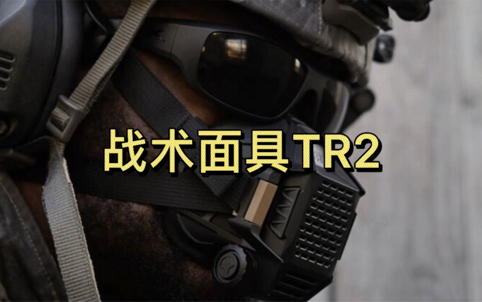 [图]【DG Tactical】战术面具TR2