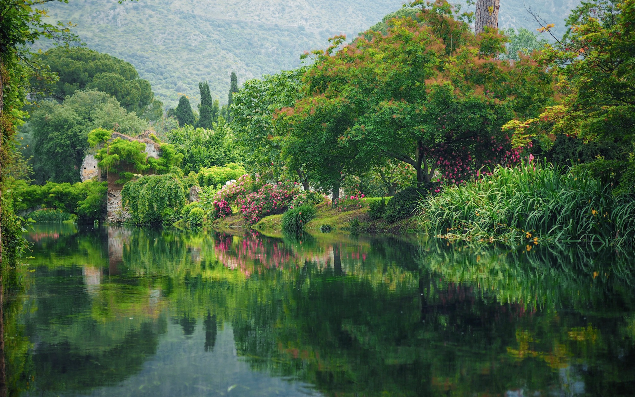 仙境花园图片图片