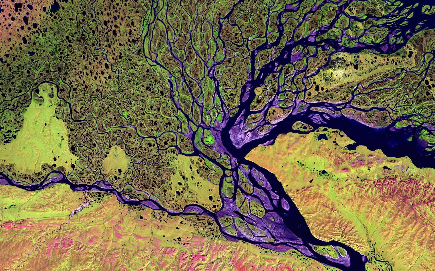 [图]位于西伯利亚的勒拿河三角洲野生动物保护区，俄罗斯 (© USGS EROS Data Center/NASA)