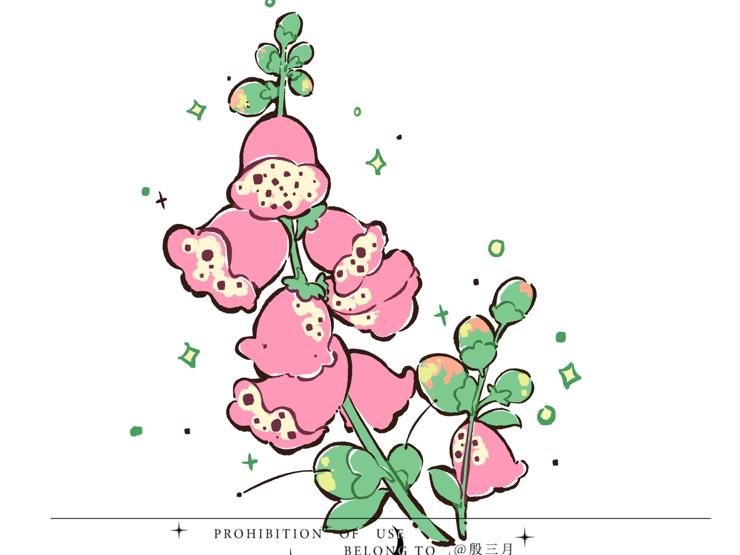 ②超详细可爱花朵 大葱简笔画教程