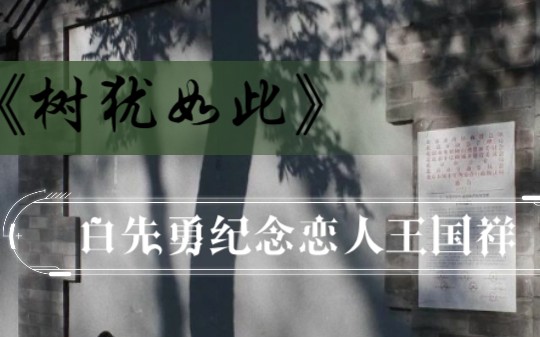 [图]|白先勇×王国祥|《树犹如此》：世上只有一种取向，那便是心之所向。