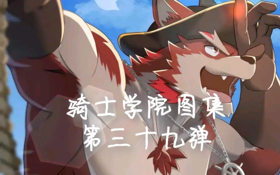 骑士学院图集(第三十九弹)