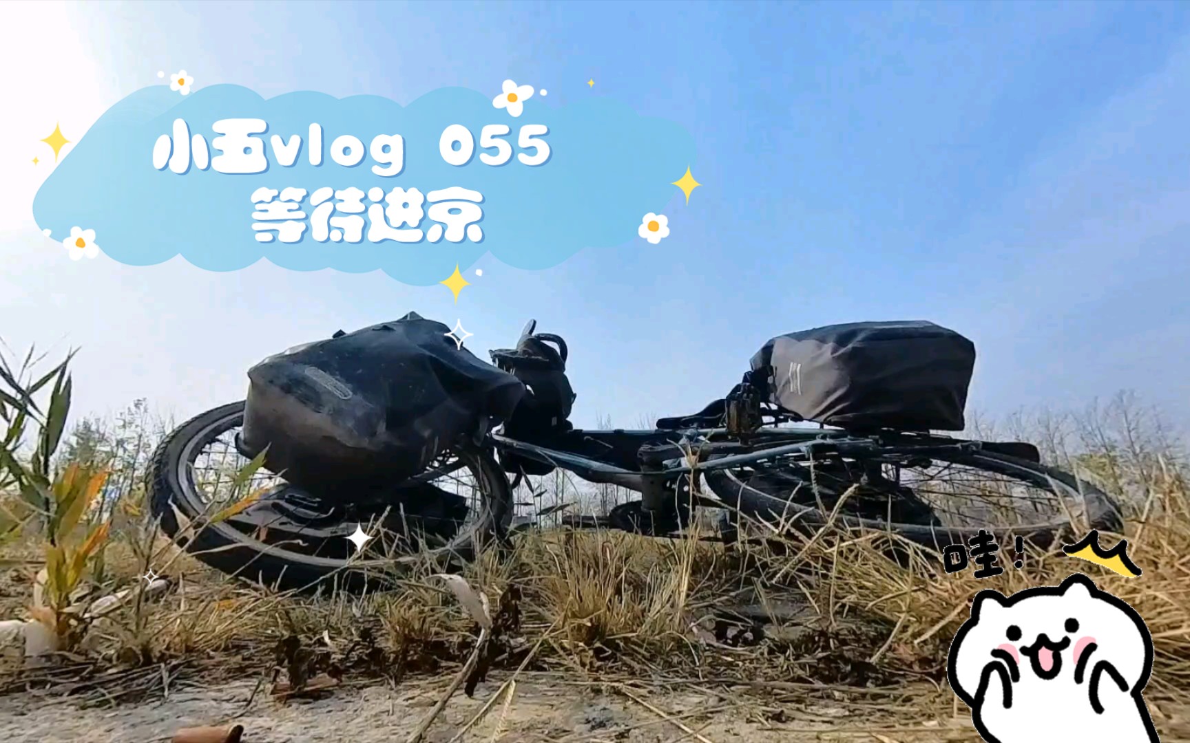 小五vlog 055 11.16 在天津市武清区等待进京的第二天,一号方案宣告破产.兄弟萌,不太乐观呀.哔哩哔哩bilibili