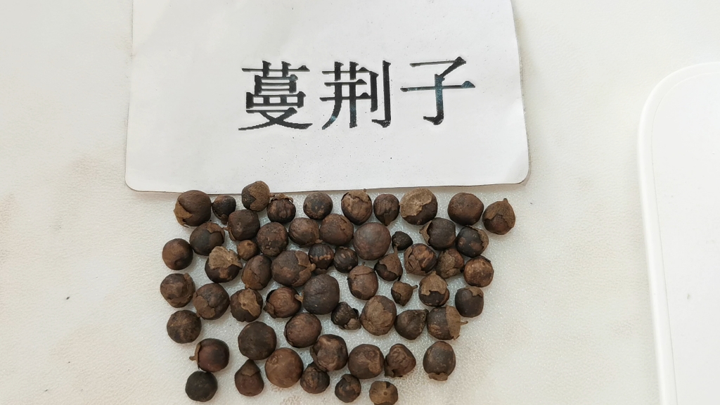 每天了解一味中药:蔓荆子(需在医生指导下使用)ps:无滤镜