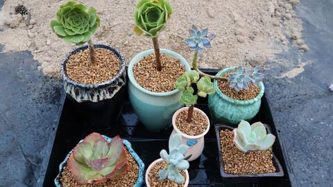 搜索 哔哩哔哩 つロ干杯 Bilibili