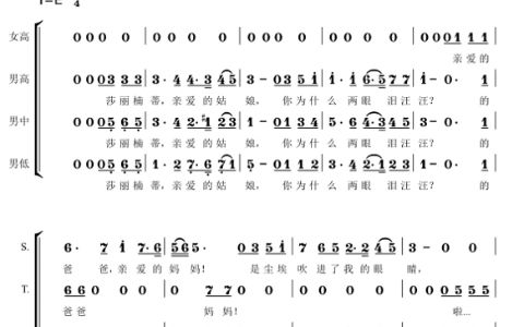 莎丽楠蒂 卢伟02阿哲02周小雨02唐燕屏 改编合唱简谱钢琴伴奏