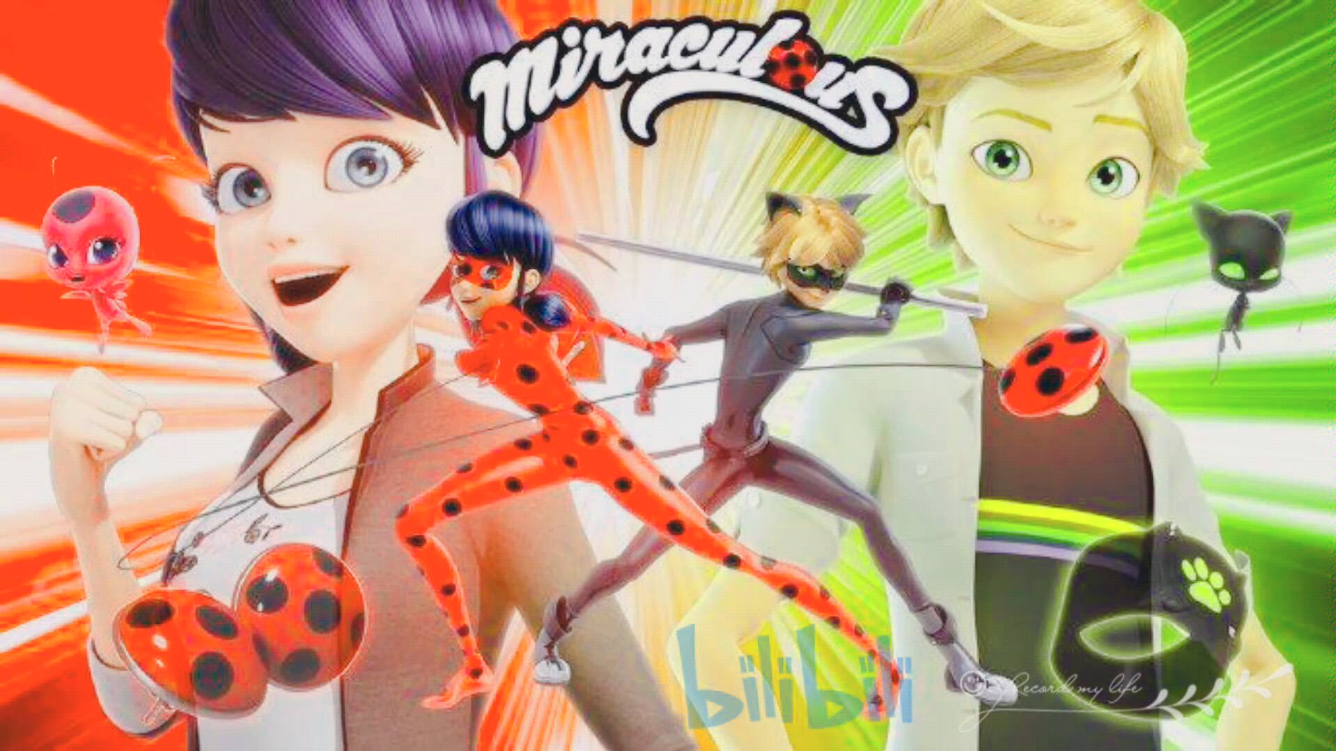 i love ladybug and catnoir