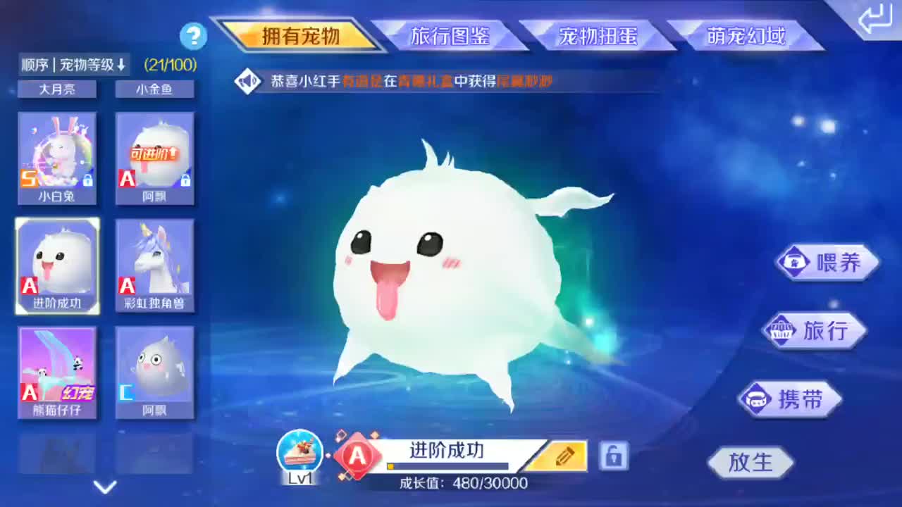 qq炫舞手游宠物进阶改名了解一下