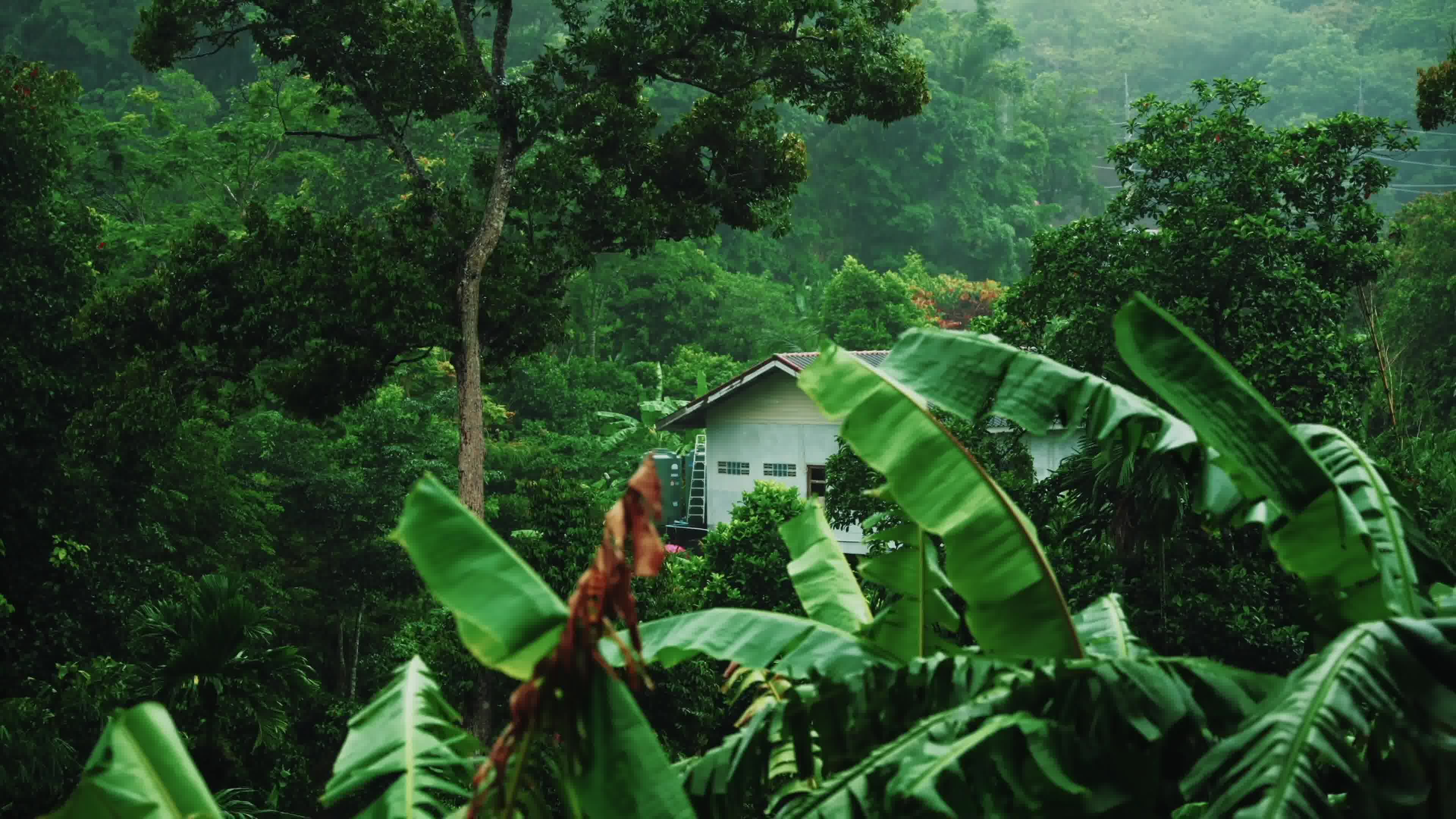 减压助眠