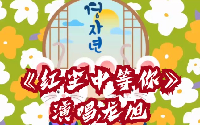 龙旭演唱《红尘中等你》哔哩哔哩bilibili