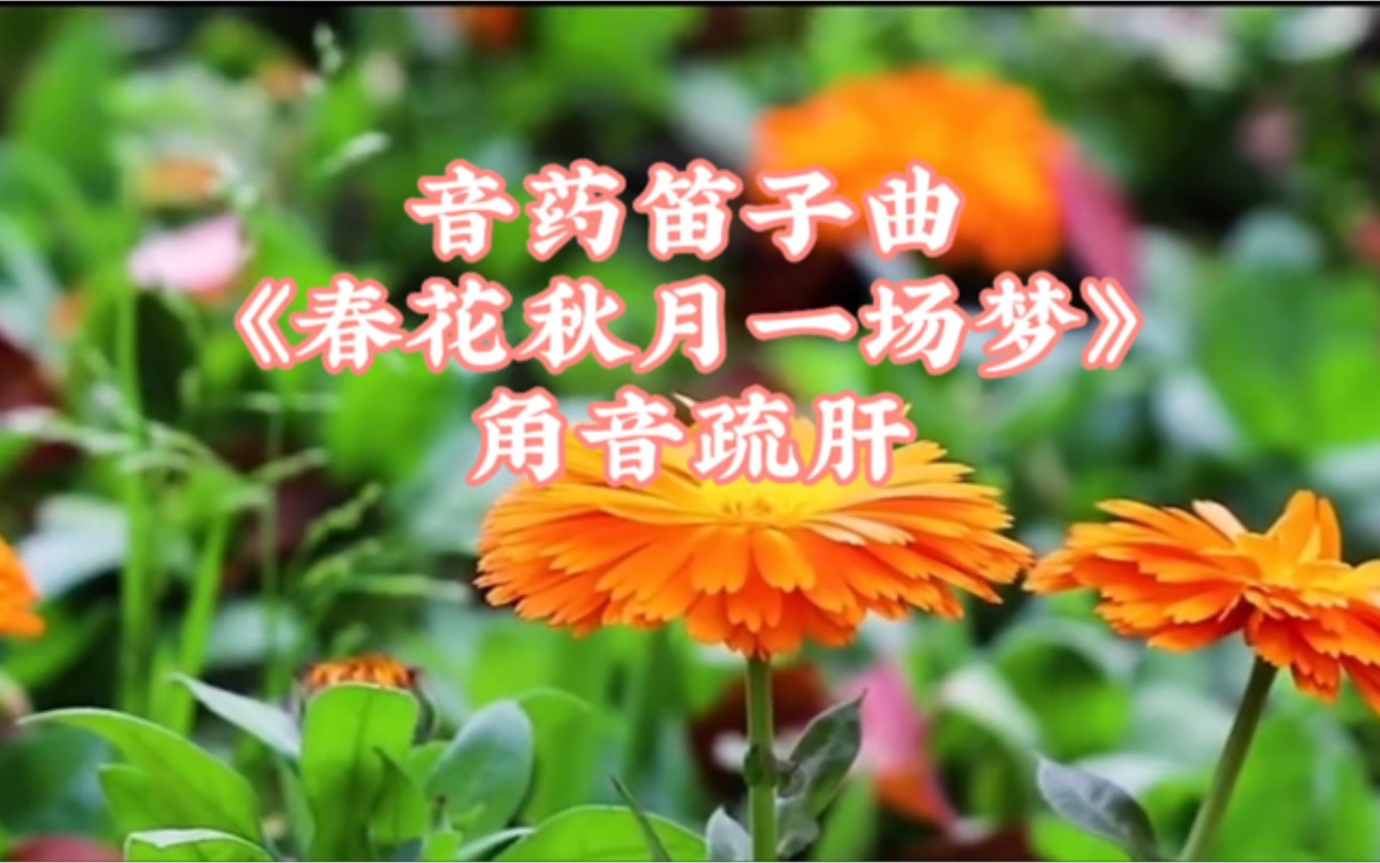 [图]音药笛子曲《春花秋月一场梦》角音疏肝