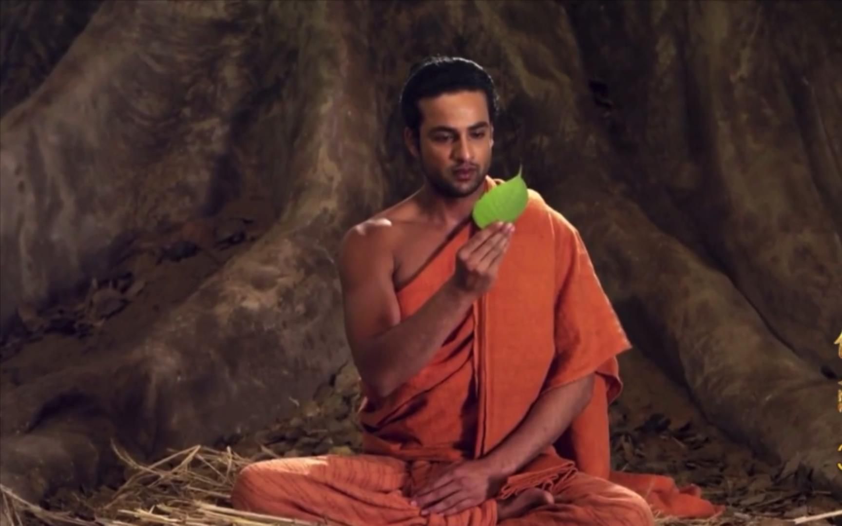 mr.meng佛陀系列003悉达多太子最终成就前的了悟