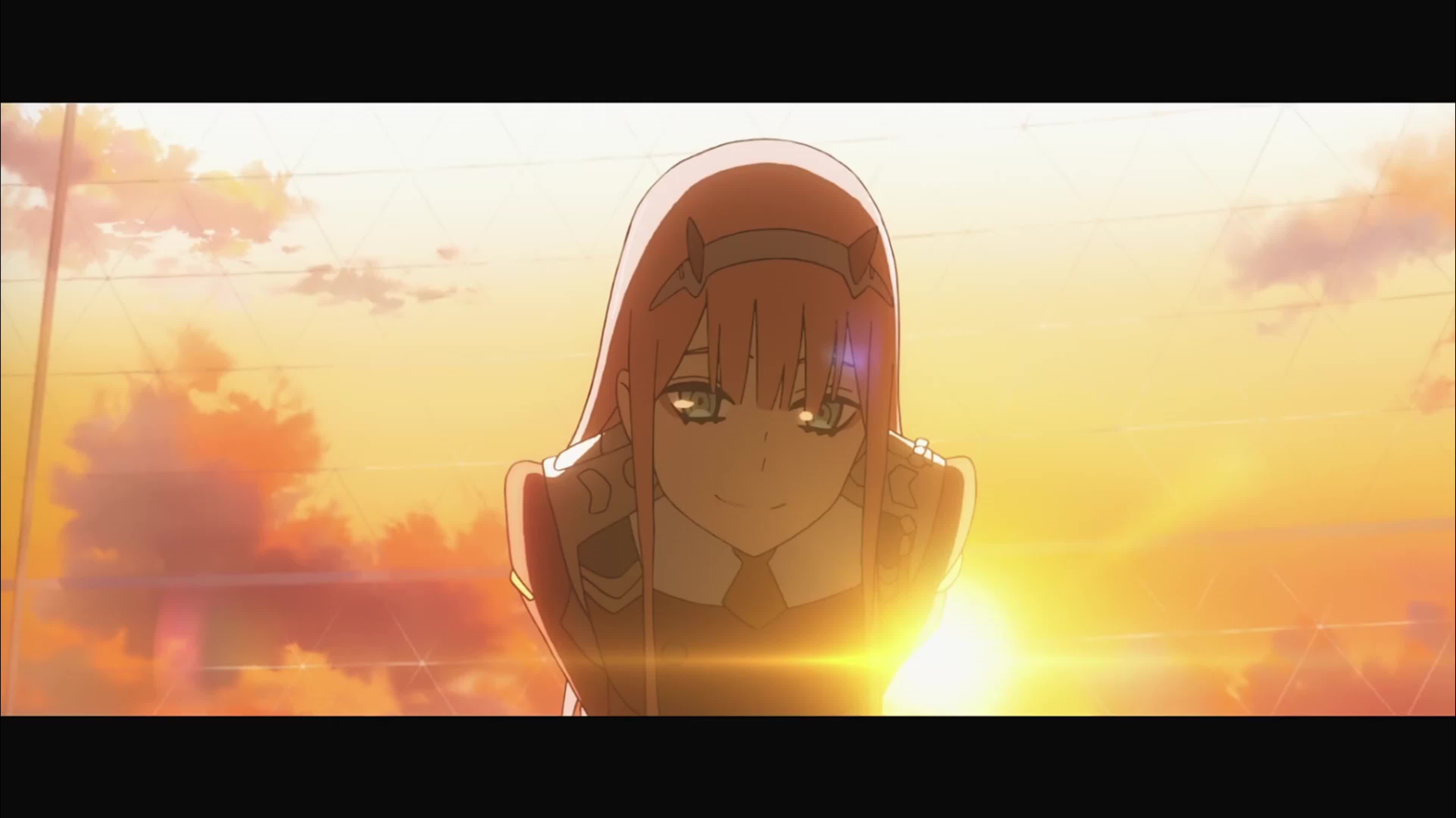 《darling in the franxx/国家队》02/2018——2023"不管多远都要在一