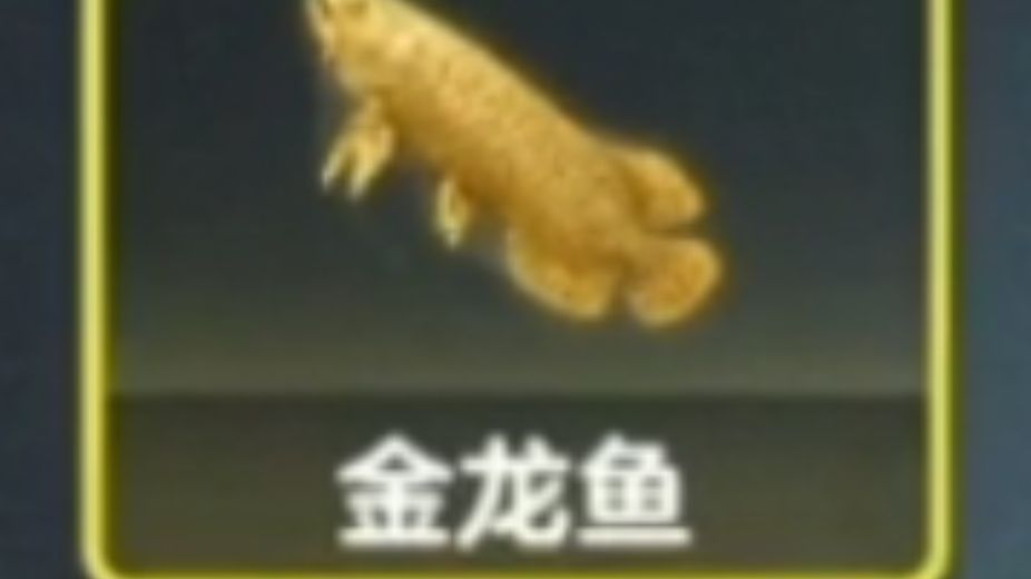 好消息：出保险柜了，但是……