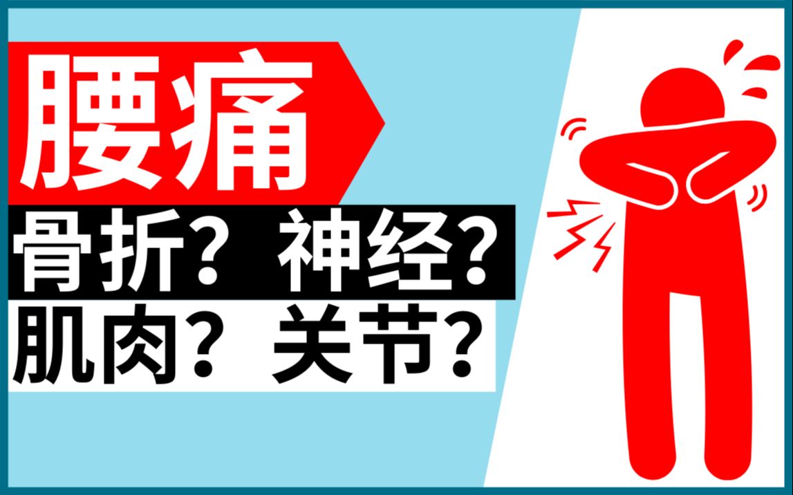 为什么腰痛, 3种腰痛你是哪一种? (腰痛诊断流程)哔哩哔哩bilibili