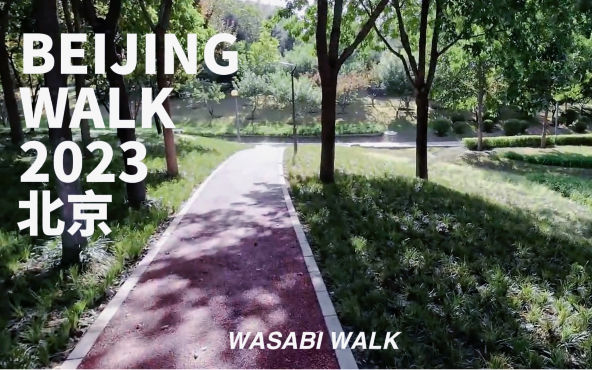 Beijing Walk | 北京车道沟公园散步趣 | 环境音 2023 [原创]哔哩哔哩bilibili