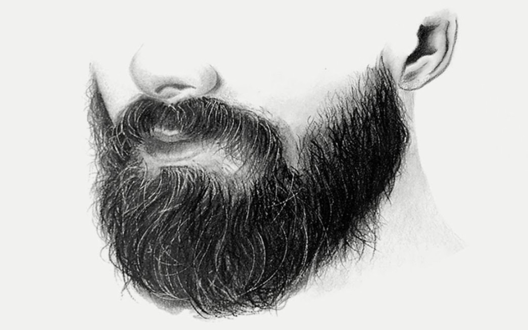 【素描】dibujos a lapiz教你用炭笔绘画逼真胡子
