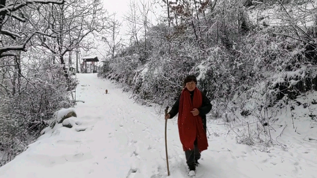 新春快乐朋友们!院子姐接到村里通知,现在去村上领取对联,过大年,也祝你们虎年吉祥哔哩哔哩bilibili