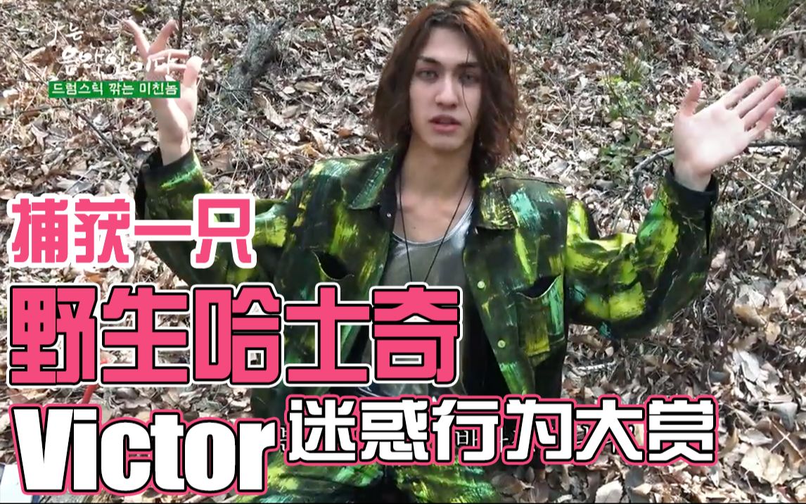 中文字幕drum尊野生victor自食其力哈士奇这个逗比拿着水果刀和去皮器