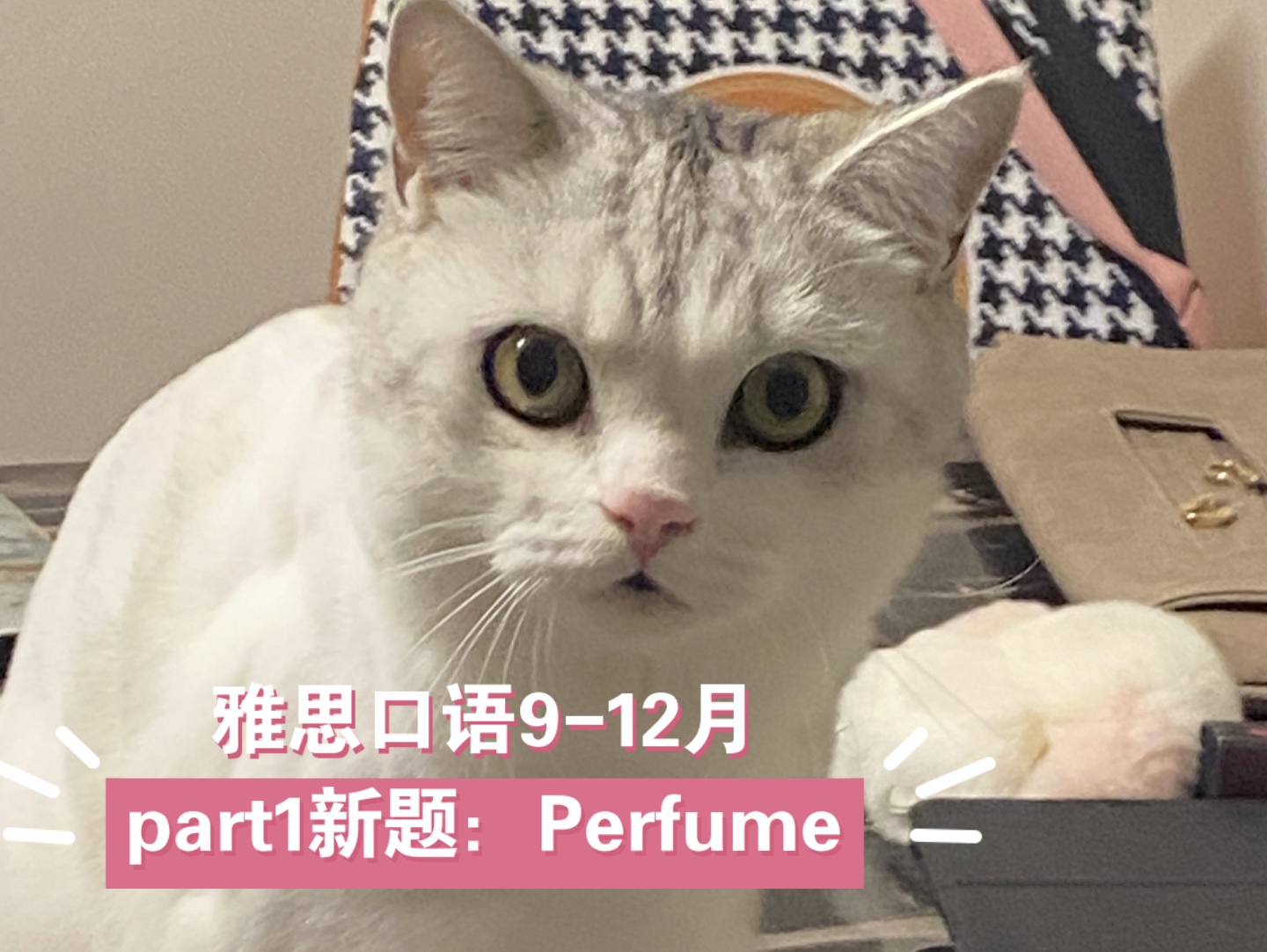 perfume表情包图片