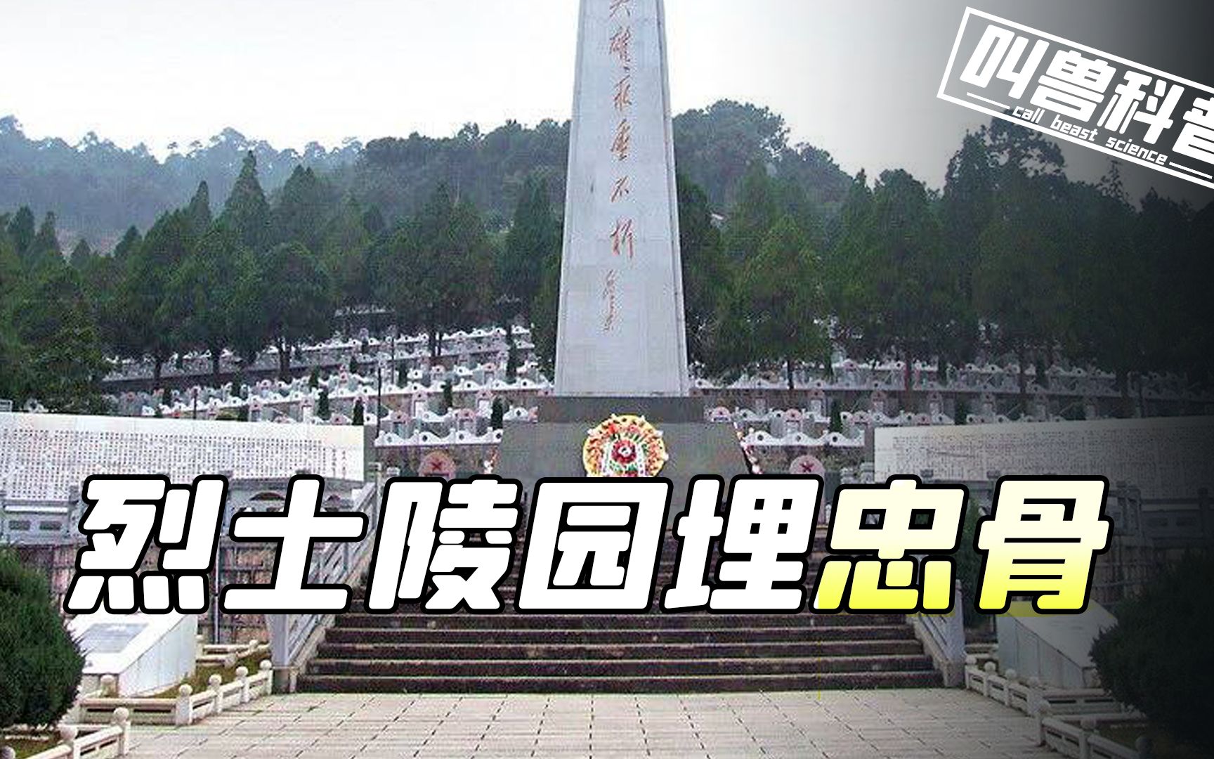 [图]烈士陵园埋忠骨,志愿军老兵70年重相见,抗日老兵回忆出川情景