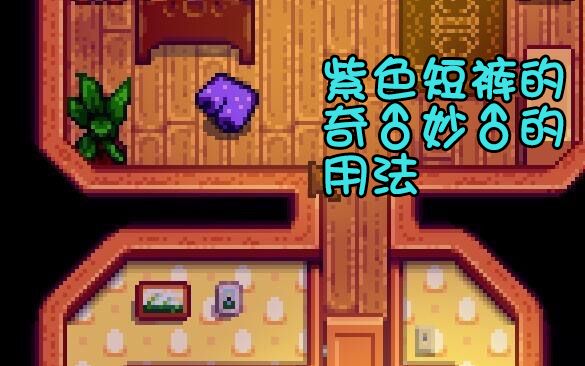 【星露穀物語】鎮長胖次的奇妙的用法!