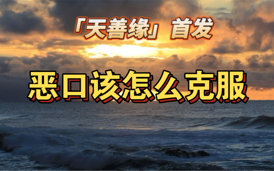 恶口该怎么克服【泰国老正】【天善缘首发】哔哩哔哩bilibili