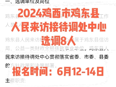 2024鸡西市鸡东县人民来访接待调处中心选调8人.报名时间:6月1214日哔哩哔哩bilibili