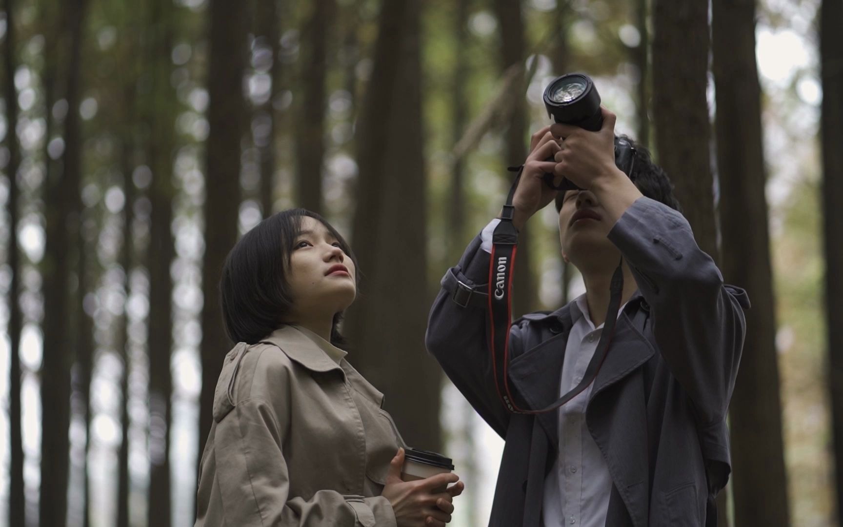 学生mv作业周杰伦枫