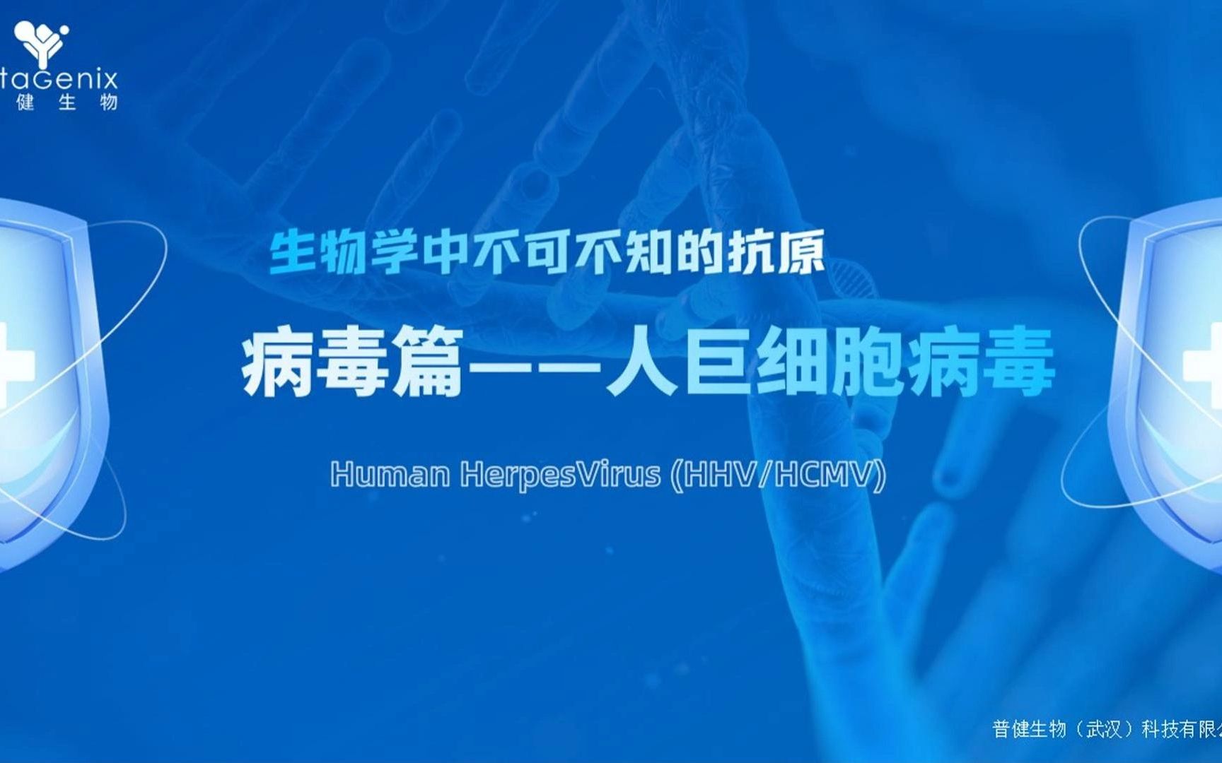 生物学中不可不知的抗原——人巨细胞病毒哔哩哔哩bilibili