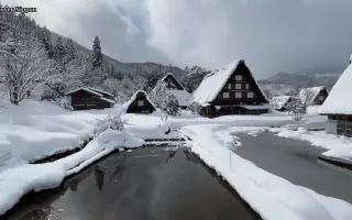 冬景色 哔哩哔哩 Bilibili