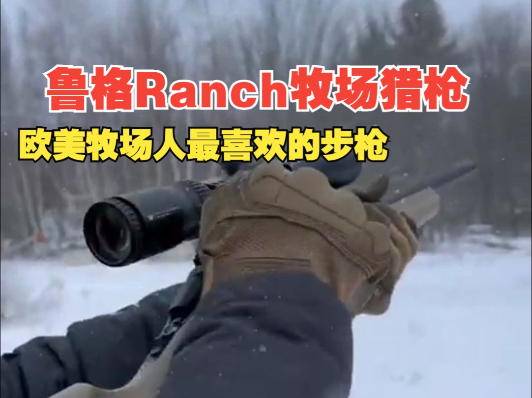 鲁格Ranch牧场猎枪,欧美牧场人最喜欢的步枪哔哩哔哩bilibili