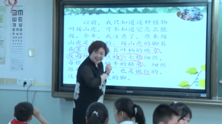 【全国获奖示范课】部编版小学语文爬山虎的脚课堂实录哔哩哔哩bilibili