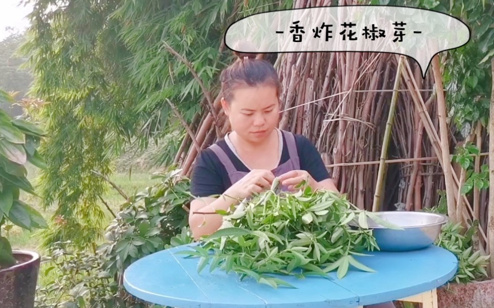 农村野菜花椒芽的新吃法,自带麻香,做法简单又美味,你一定要试一下哔哩哔哩bilibili