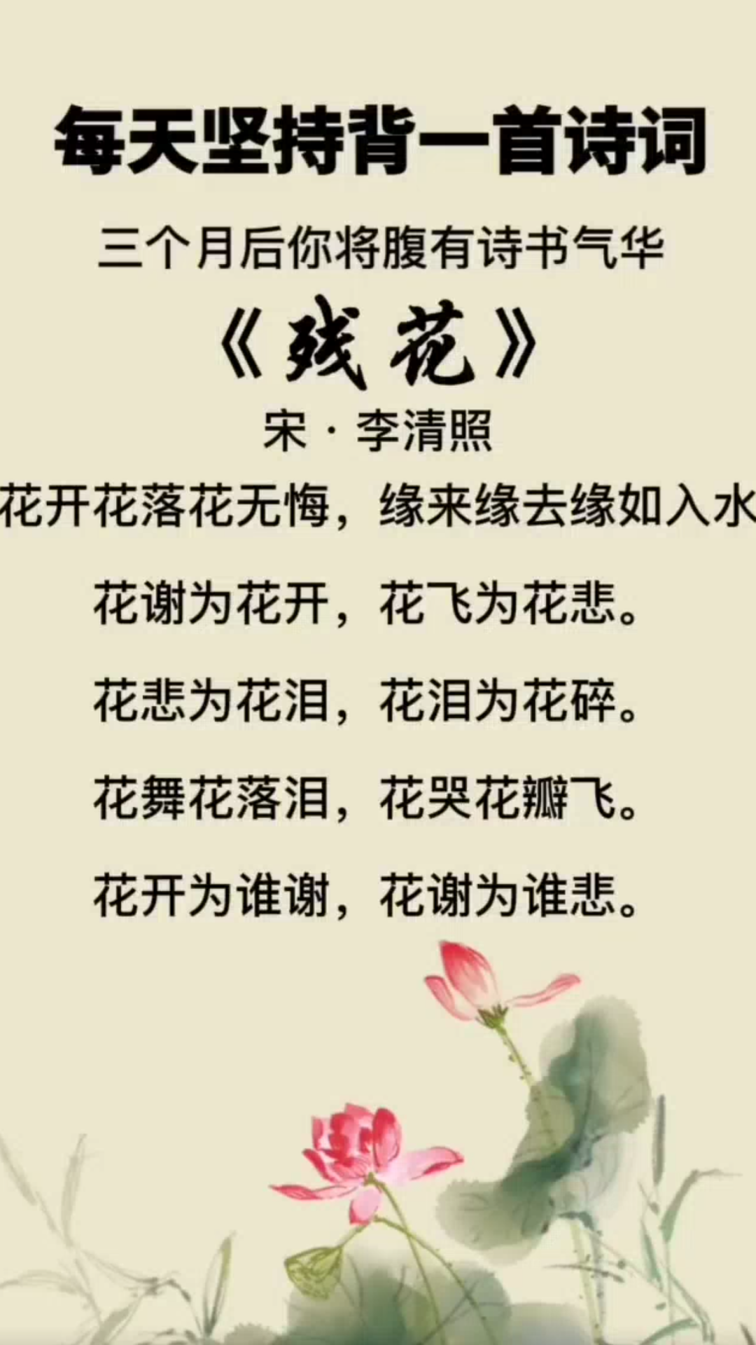 《每日诗词,李清照的残花》哔哩哔哩bilibili