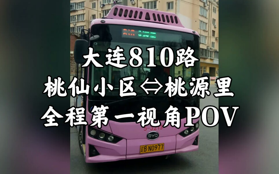 【大连公交】大连810路公交车 桃仙小区62桃源里 前方展望 延时摄影