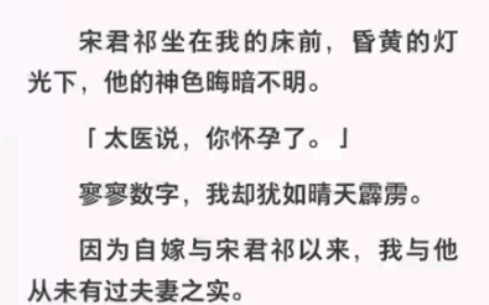 心有所属却被纸婚皇子,嫁给他后我却怀了心上人的孩子……哔哩哔哩bilibili