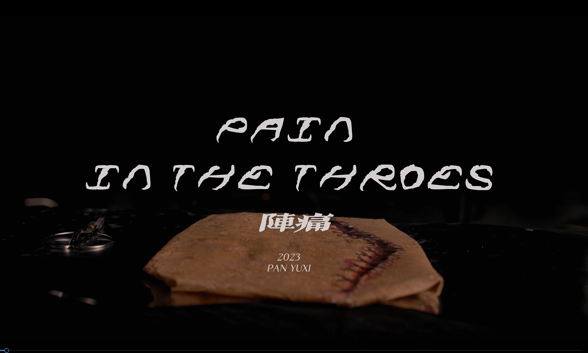 【实验影像】阵痛 PAIN IN THE THROES哔哩哔哩bilibili