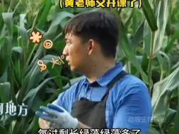 Tải video: 何老师也受不了黄磊了