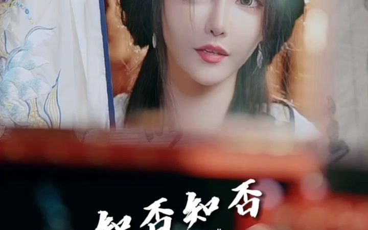 应是绿肥红瘦#知否知否应是绿肥红瘦哔哩哔哩bilibili