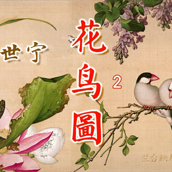 中国古美術　大清雍正　花鳥画　花入 78-清-余穉-花鸟图十二开-05-长尾寿诞鸟