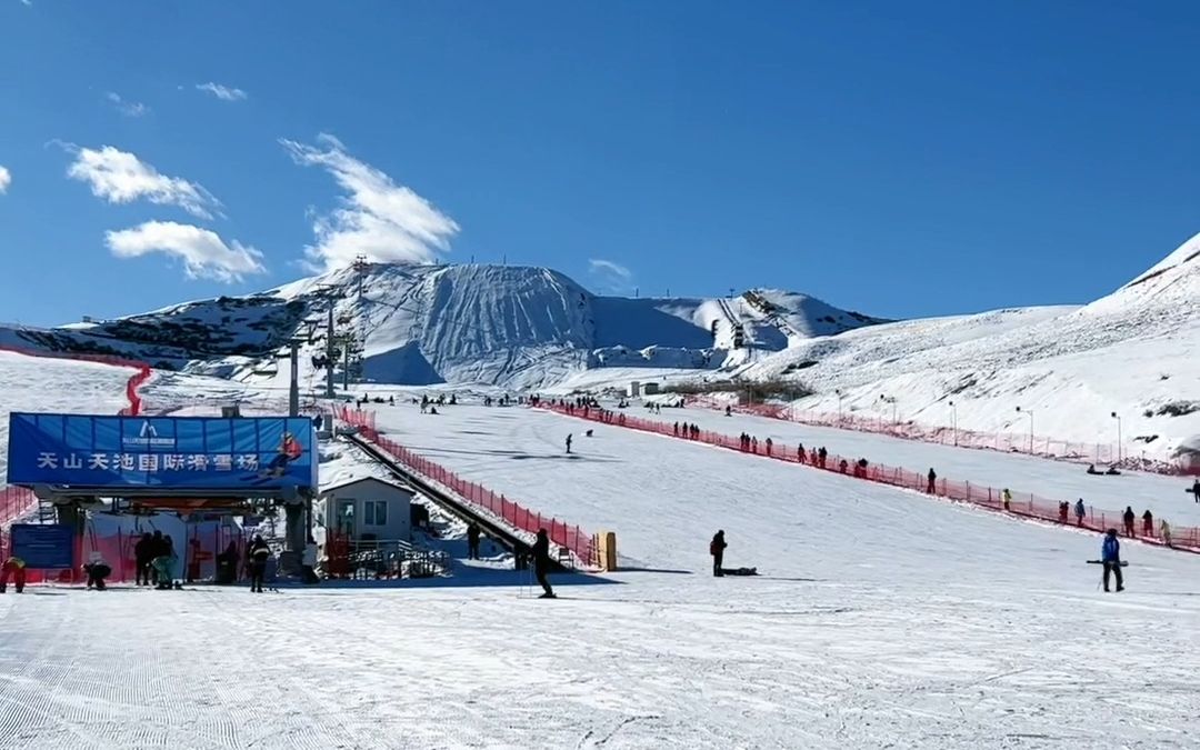 [图]雪岭云杉，天山天池。