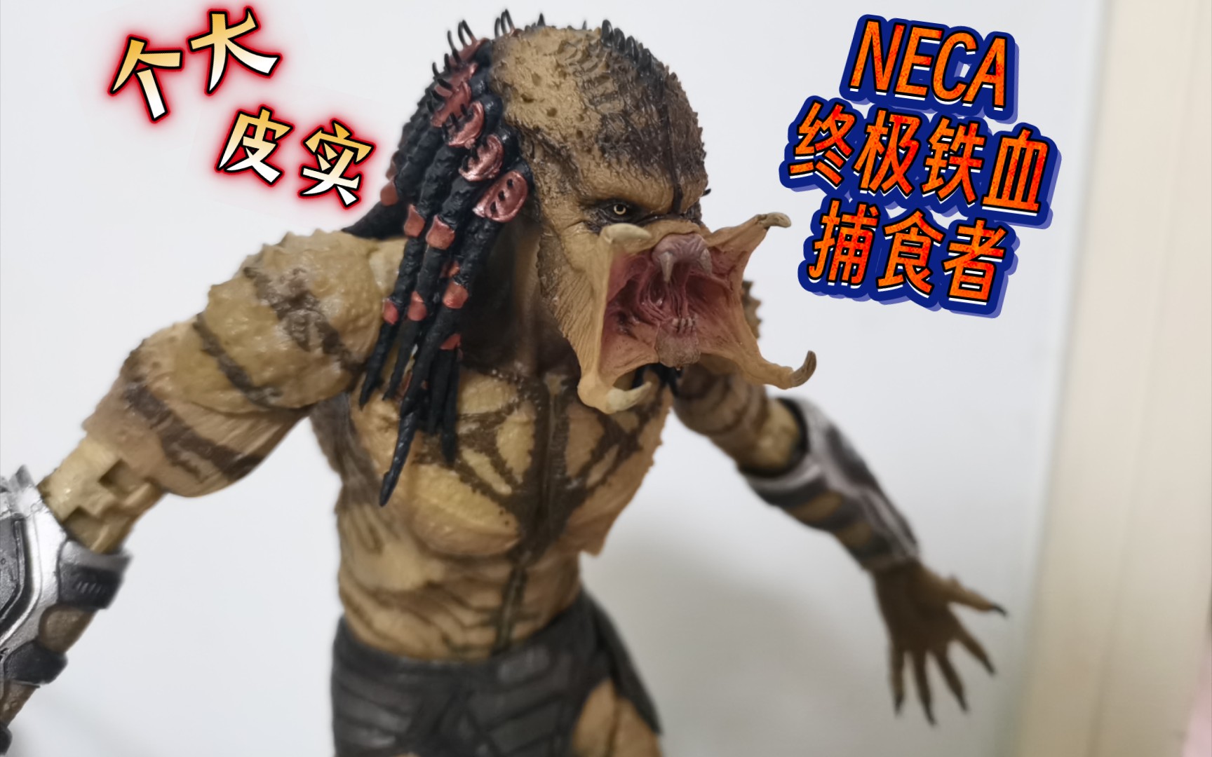 [图]【模玩分享 47】这家伙更是重量级的！NECA 铁血战士 2018电影 终极铁血 捕食者 豪华版 无盔甲 刺杀