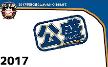 【热盛】2017年北海道日本火腿斗士队『热盛』场面合集哔哩哔哩bilibili