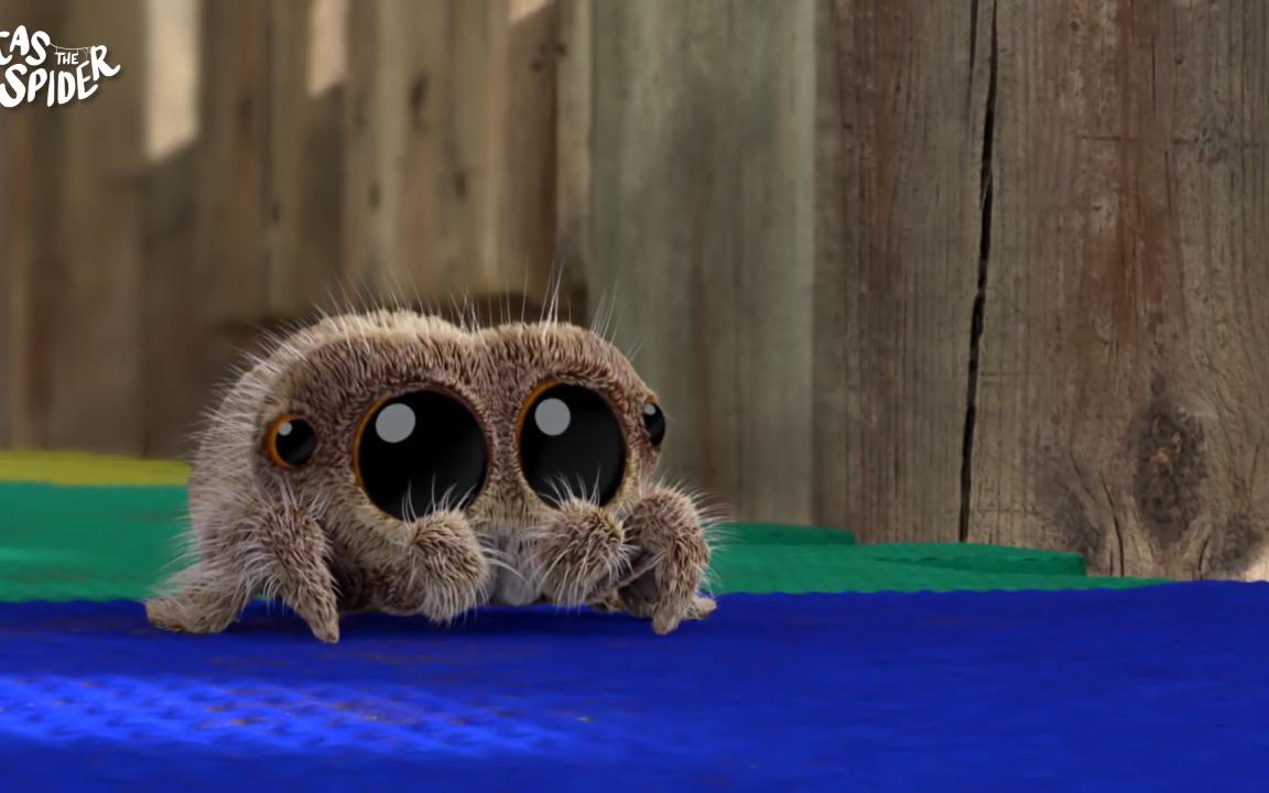 小奶音,非常可爱的小蜘蛛lucas spider