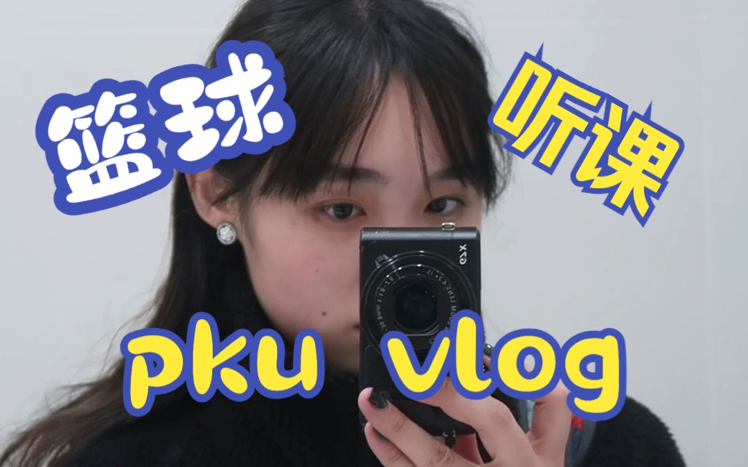 【北大vlog】周三是戴锦华老师课的套餐日|篮球健身的一天|笨蛋行为|毕业论文哔哩哔哩bilibili