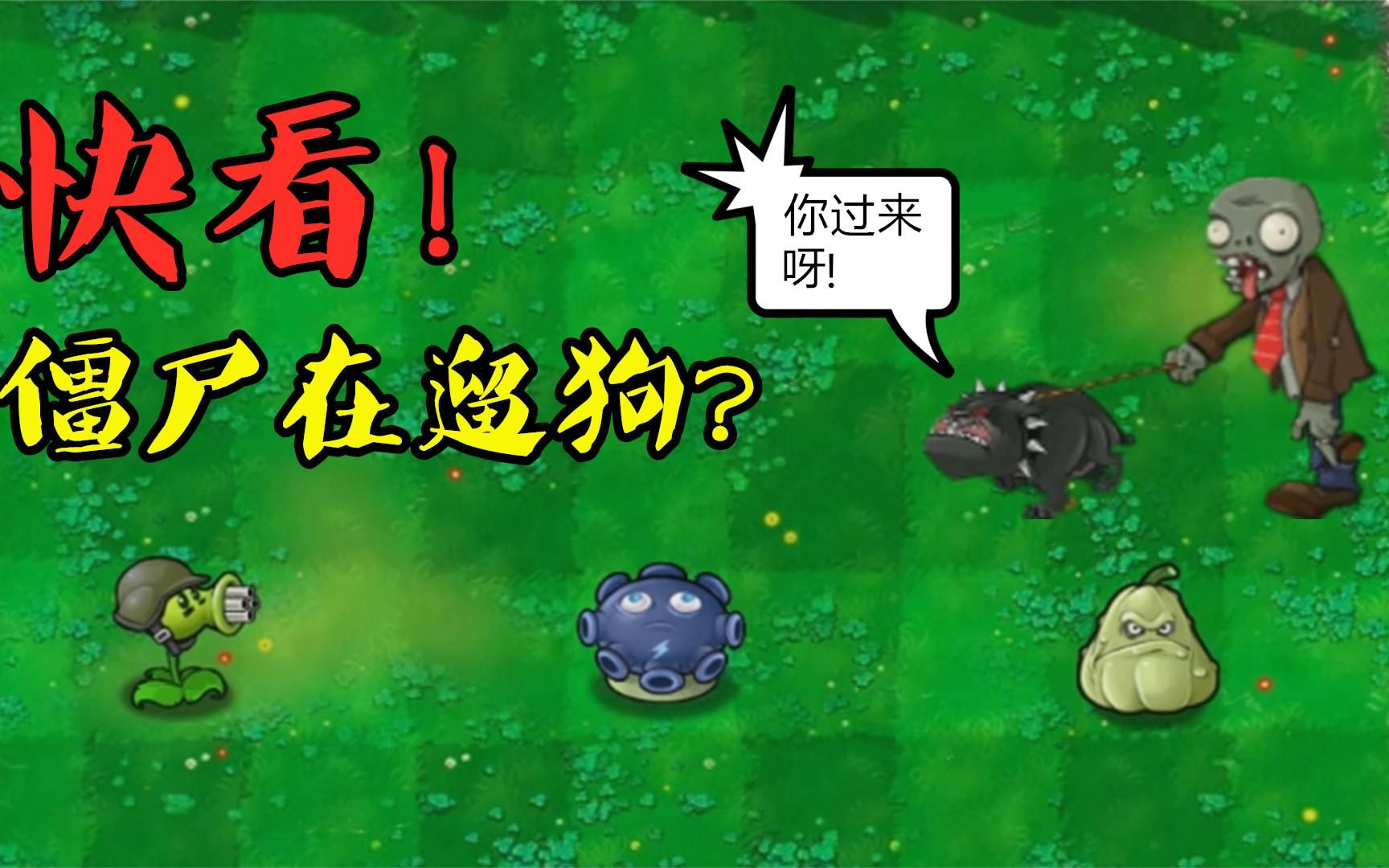 pvz:当遛狗僵尸拥有100000血量,30000阳光预算,谁能战胜它?