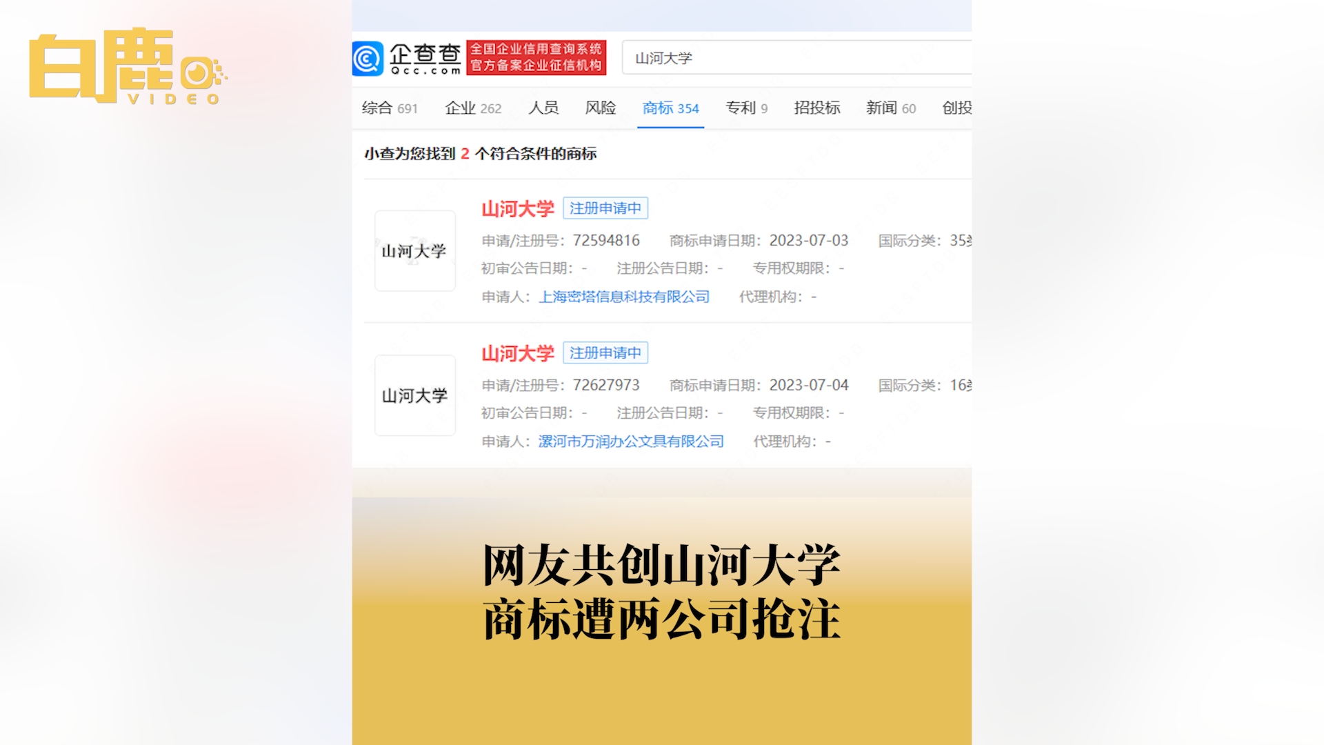 山河大学商标遭抢注,两公司抢注山河大学商标哔哩哔哩bilibili
