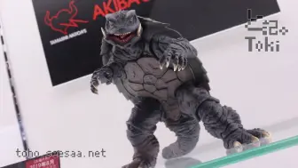 Download Video: S.H.MonsterArts Gamera(1995) / 加美拉