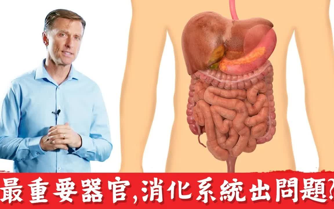 最重要器官,消化胃肠道出问题自然疗法柏格医生 Dr Berg哔哩哔哩bilibili